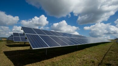 PV Bliskowice – Kolejna Duża Farma Fotowoltaiczna Uruchomiona