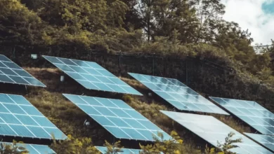 Farm słonecznych